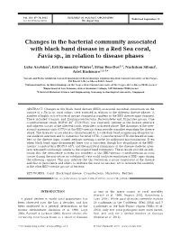 Changes in the Bacterial Community Associated with Black Band Disease in a Red Sea Coral, Favia Sp., in Relation to Disease Phases