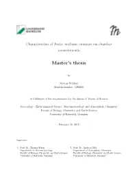 Master's Thesis