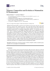 Sequence Composition and Evolution of Mammalian B Chromosomes