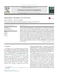 Segmentation and Tagmosis in Chelicerata