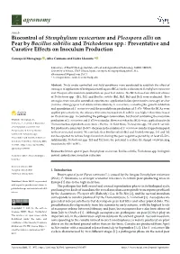 Biocontrol of Stemphylium Vesicarium and Pleospora Allii on Pear by Bacillus Subtilis and Trichoderma Spp.: Preventative and Curative Effects on Inoculum Production