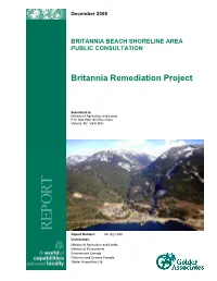 Britannia Beach Shoreline Area Public Consultation