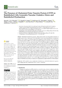 CETP) in Endothelial Cells Generates Vascular Oxidative Stress and Endothelial Dysfunction