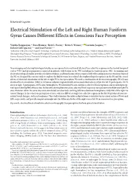Electrical Stimulation of the Left and Right Human Fusiform Gyrus Causes Different Effects in Conscious Face Perception