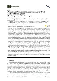 Punicalagin Content and Antifungal Activity of Different