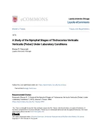 A Study of the Nymphal Stages of Trichocorixa Verticalis Verticalis (Fieber) Under Laboratory Conditions