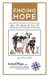 Finding Hope After the Loss of a Beloved