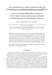 Larvae of Australian Buprestidae (Coleoptera). Part 5. Genera Astraeus and Xyroscelis, with Notes on Larval Characters of Australian Polycestine Taxa