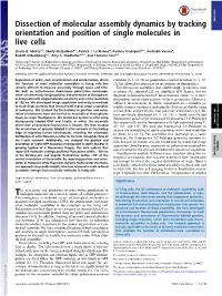 Dissection of Molecular Assembly Dynamics by Tracking Orientation
