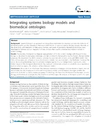 Integrating Systems Biology Models and Biomedical Ontologies