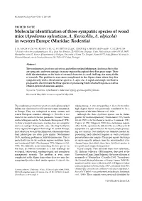 Molecular Identification of Three Sympatric Species of Wood Mice (Apodemus Sylvaticus, A