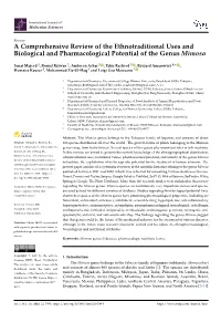 A Comprehensive Review of the Ethnotraditional Uses and Biological and Pharmacological Potential of the Genus Mimosa