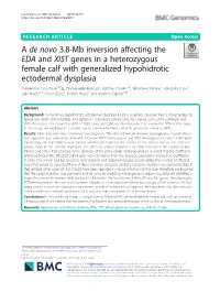 Α De Novo 3.8-Mb Inversion Affecting the EDA and XIST Genes in A