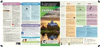 Guide for Guests with Disabilities