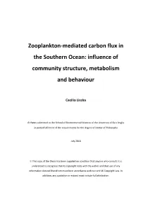 Zooplankton-Mediated Carbon Flux in the Southern Ocean: Influence of Community Structure, Metabolism and Behaviour