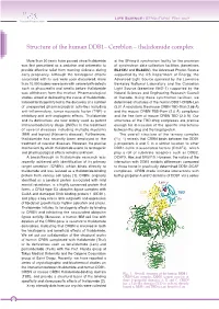 Cereblon – Thalidomide Complex