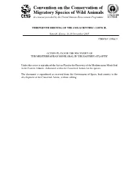 Monk Seal Action Plan English Version 2005