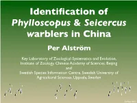 Presentation on the Identification of Leaf Warblers in China, by Per