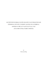 Salt-Influenced Normal Faulting Related to Salt-Dissolution And