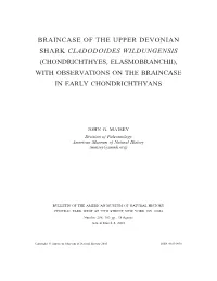 Braincase of the Upper Devonian Shark Cladodoides Wildungensis (Chondrichthyes, Elasmobranchii), with Observations on the Braincase in Early Chondrichthyans