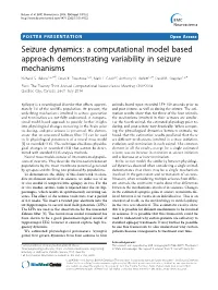 Seizure Dynamics