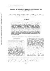 Assessing the Diversity of Sea Beet (Beta Vulgaris L. Ssp. Maritima) Populations