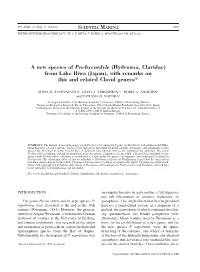 A New Species of Pachycordyle (Hydrozoa, Clavidae) from Lake Biwa (Japan), with Remarks on This and Related Clavid Genera*