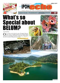 Ipoh Echo Issue