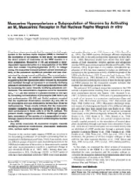 Muscarine Hyperpolarizes a Subpopulation of Neurons by Activating an M, Muscarinic Receptor in Rat Nucleus Raphe Magnus in Vitro