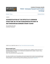 An Investigation of the Effects of Corrinoid Structure on the Methanogenesis Pathway in Methanosarcina Barkeri Strain Fusaro