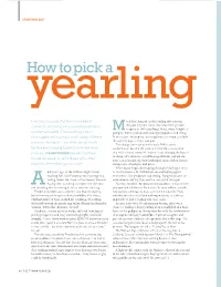 How to Pick a Yearling