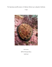 The Importance and Persistence of Abalone (Haliotis Spp.) Along the California