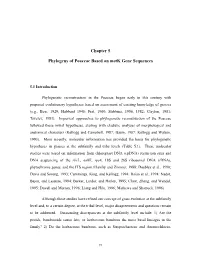 Chapter 5 Phylogeny of Poaceae Based on Matk Gene Sequences