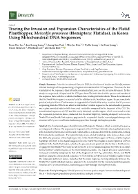 In Korea Using Mitochondrial DNA Sequences