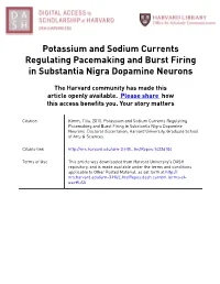 Potassium and Sodium Currents Regulating Pacemaking and Burst Firing in Substantia Nigra Dopamine Neurons