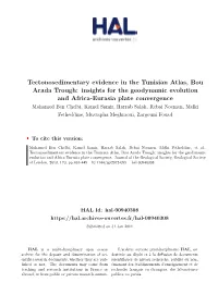 Tectonosedimentary Evidence in the Tunisian Atlas, Bou Arada Trough