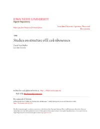 Studies on Structure of E Coli Ribosomes David Lloyd Weller Iowa State University