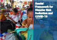 Sendai Framework for Disaster Risk Reduction and COVID-19