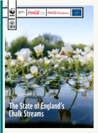 The State of England's Chalk Streams