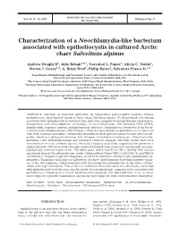 Characterization of a Neochlamydia-Like Bacterium Associated with Epitheliocystis in Cultured Arctic Charr Salvelinus Alpinus