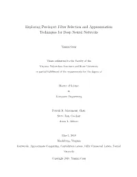 Exploring Per-Input Filter Selection and Approximation Techniques for Deep Neural Networks