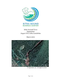 Report Summary
