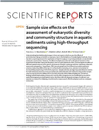Sample Size Effects on the Assessment of Eukaryotic Diversity