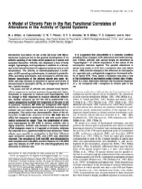 A Model of Chronic Pain in the Rat: Functional Correlates of Alterations in the Activity of Opioid Systems