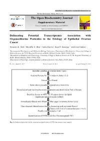 The Open Biochemistry Journal, 2018, 12, I-Ix I the Open Biochemistry Journal Supplementary Material Content List Available At