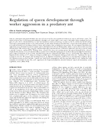 Regulation of Queen Development Through Worker Aggression in A