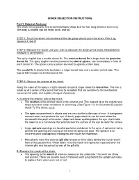 SHARK DISSECTION INSTRUCTIONS Part 1: External