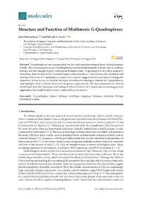 Structure and Function of Multimeric G-Quadruplexes