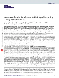A Conserved Activation Element in BMP Signaling During Drosophila Development