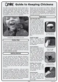 Guide to Keeping Chickens